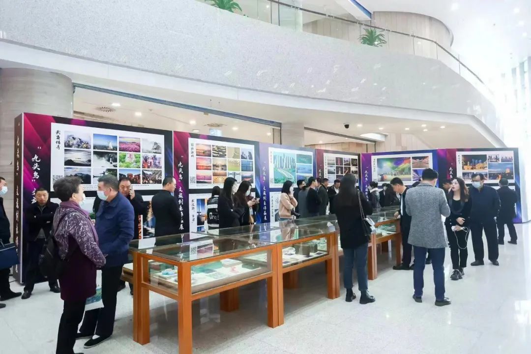 C7娱乐