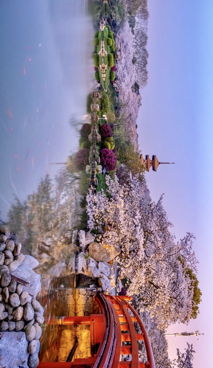 C7娱乐