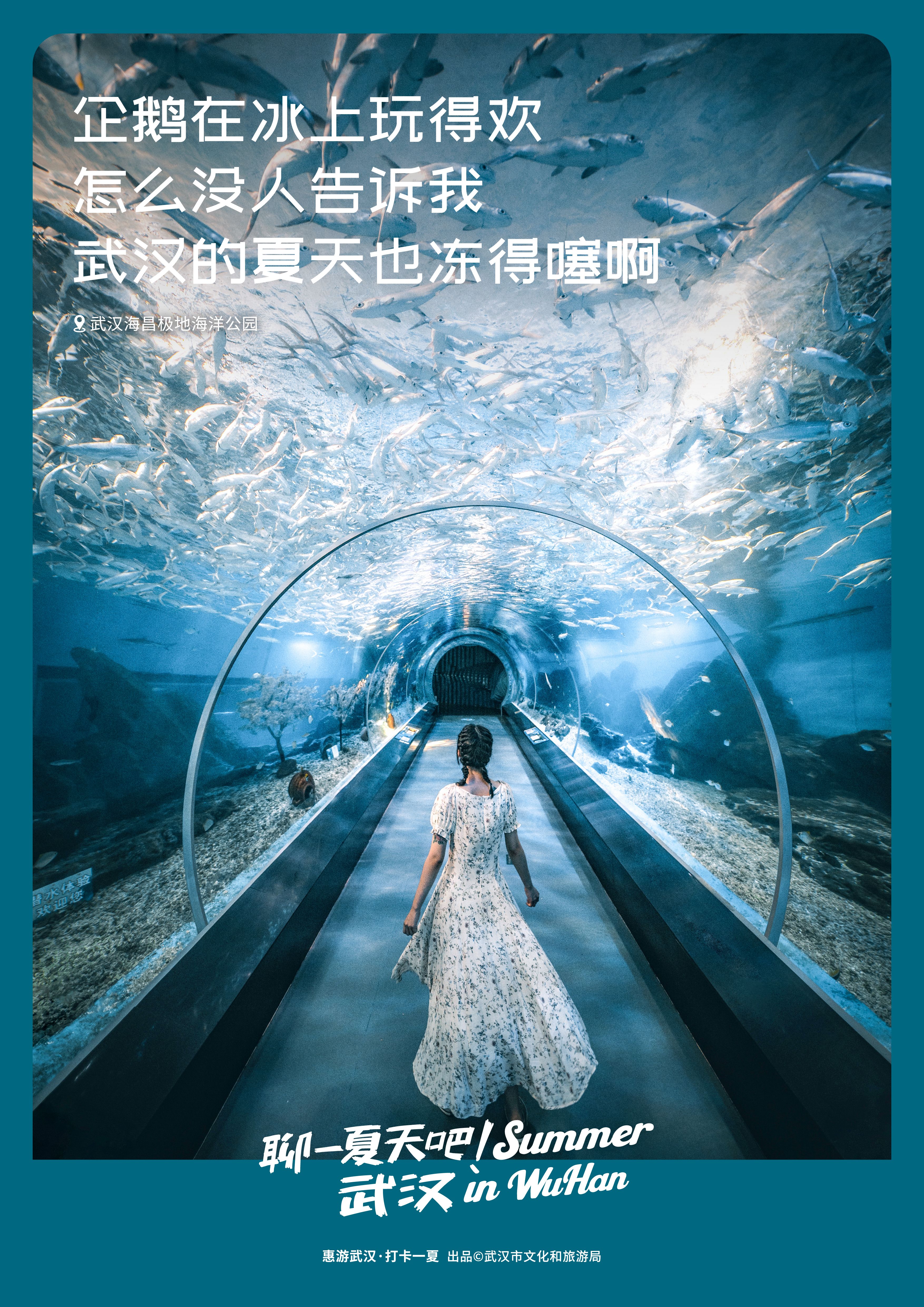 C7娱乐