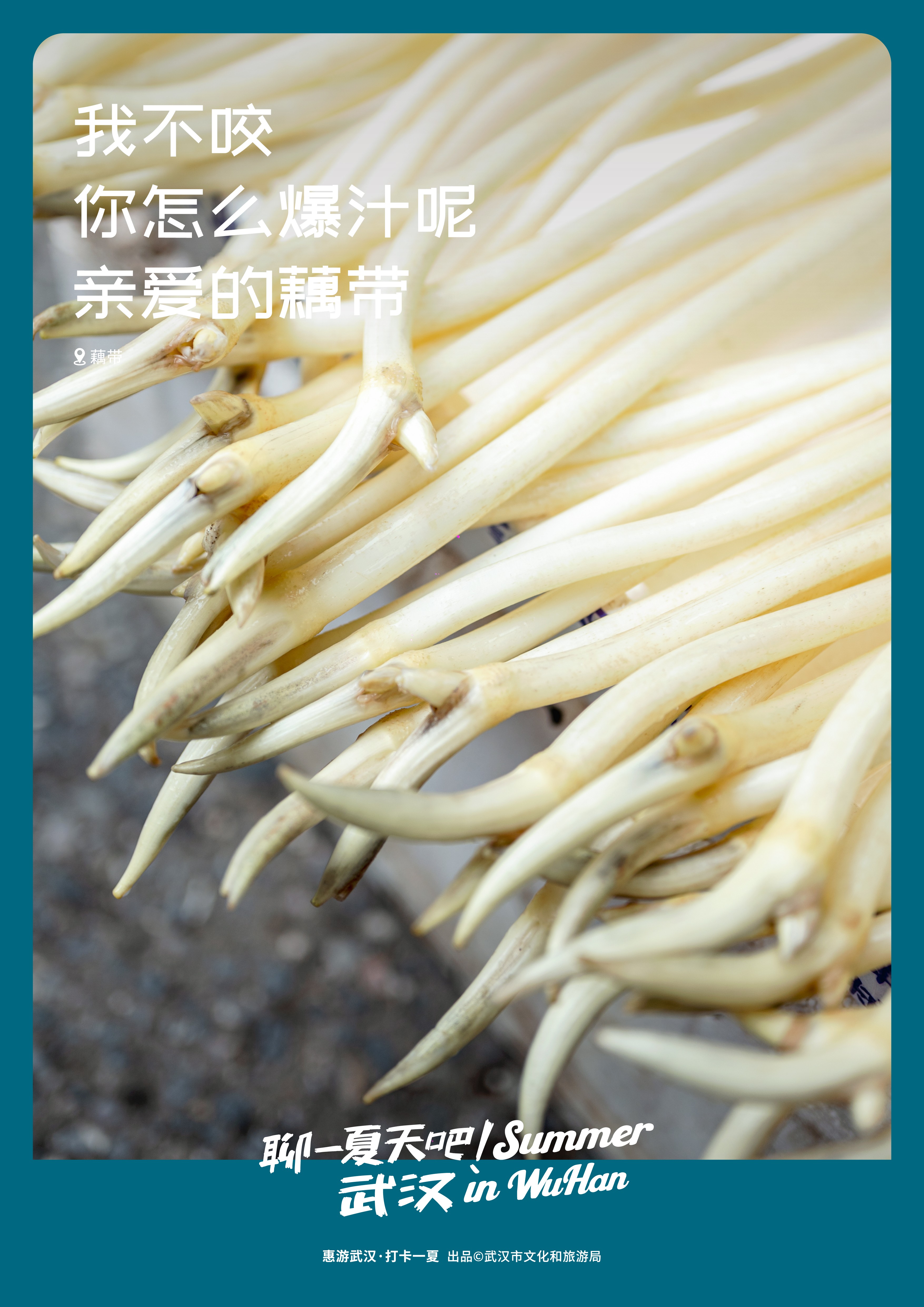 C7娱乐