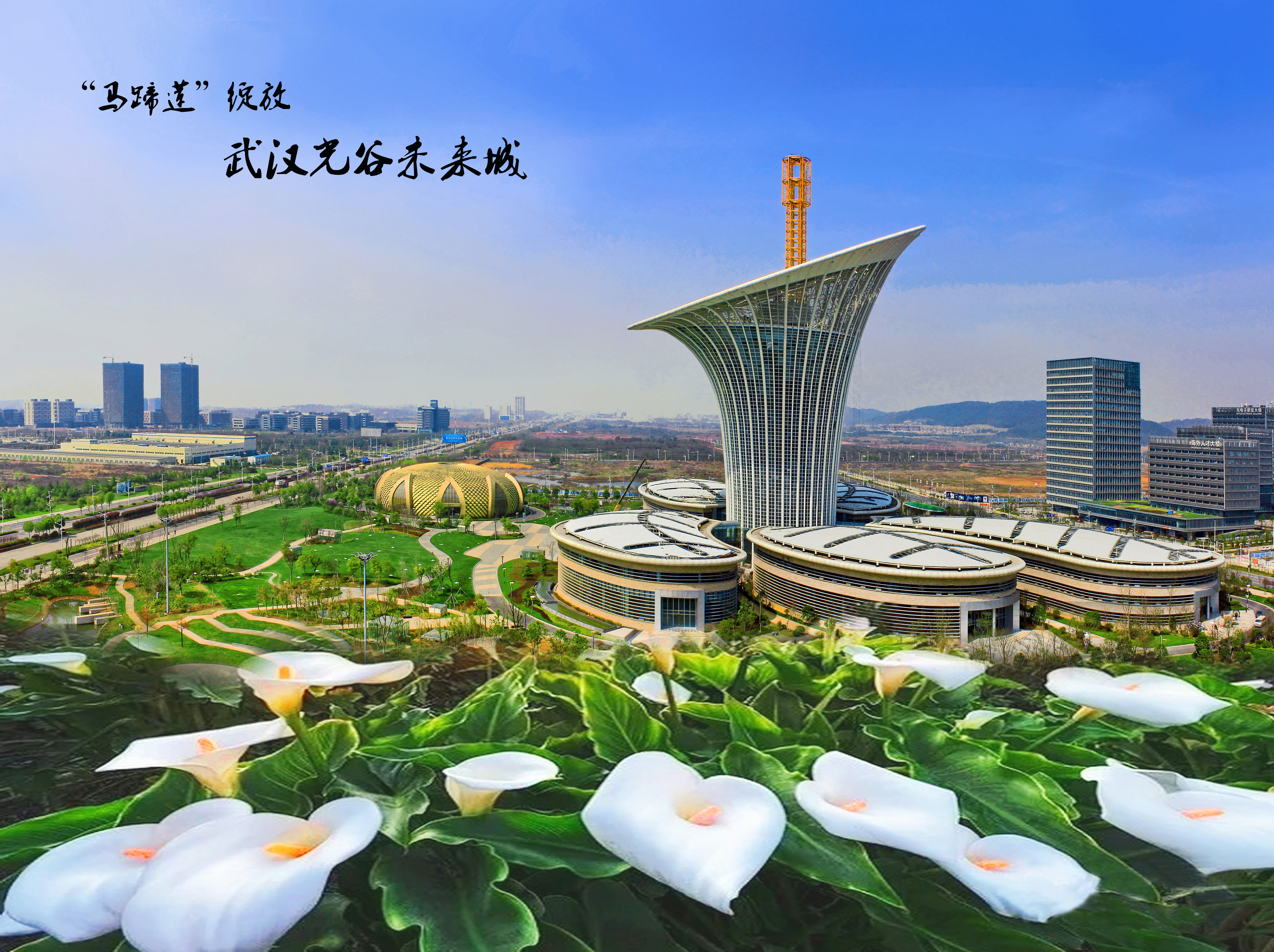 C7娱乐