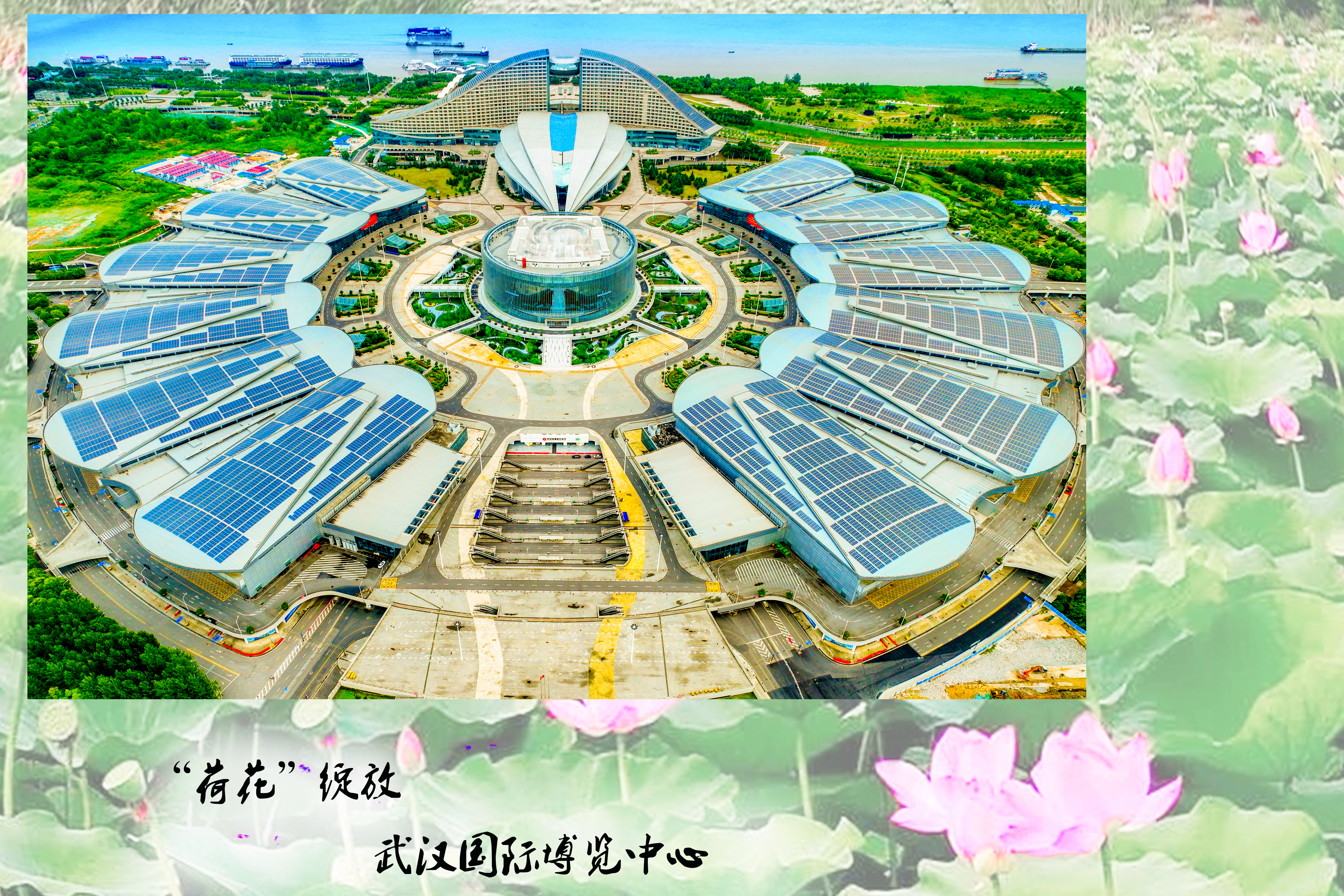 C7娱乐
