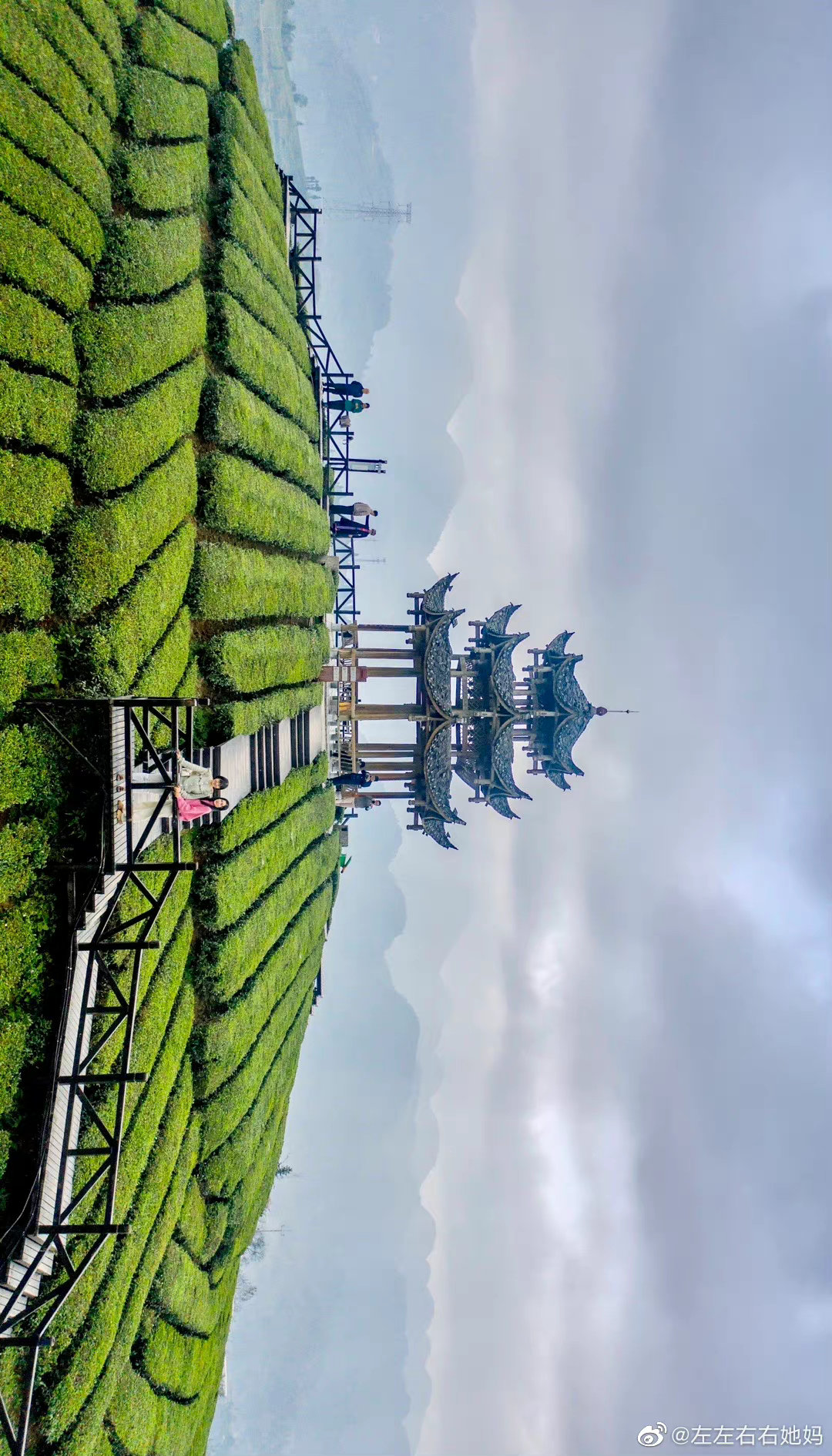 C7娱乐