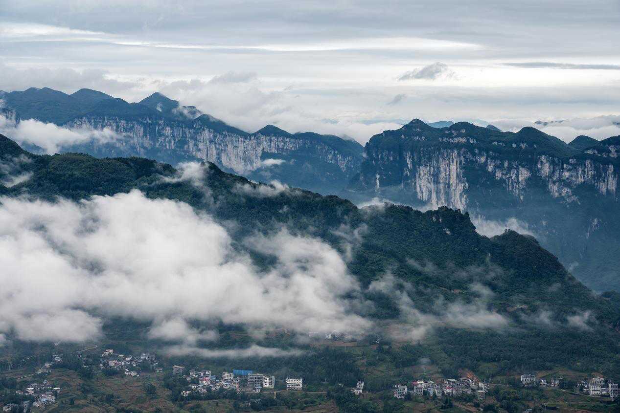 C7娱乐