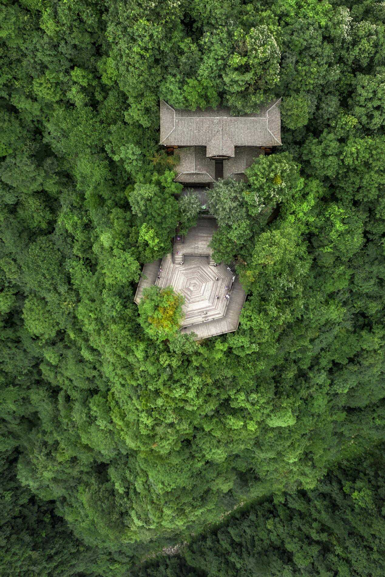 C7娱乐