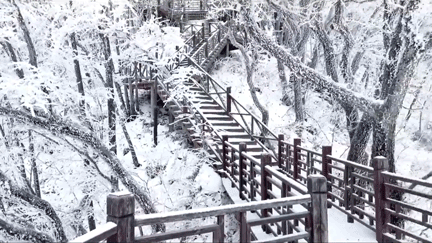 C7娱乐