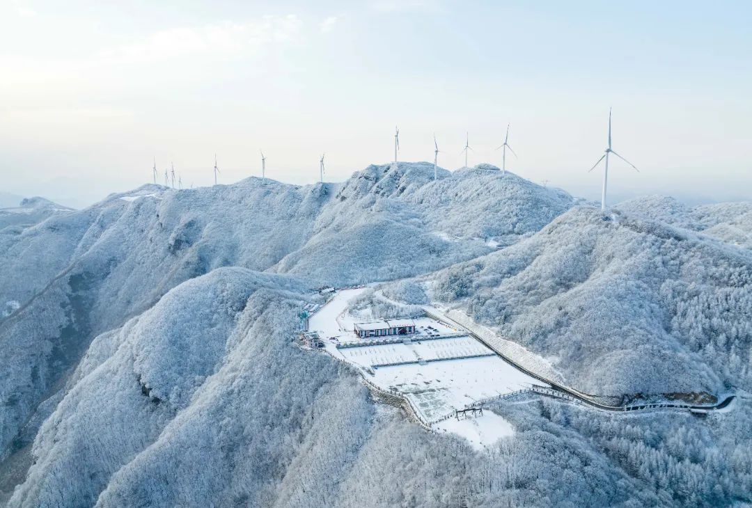 C7娱乐