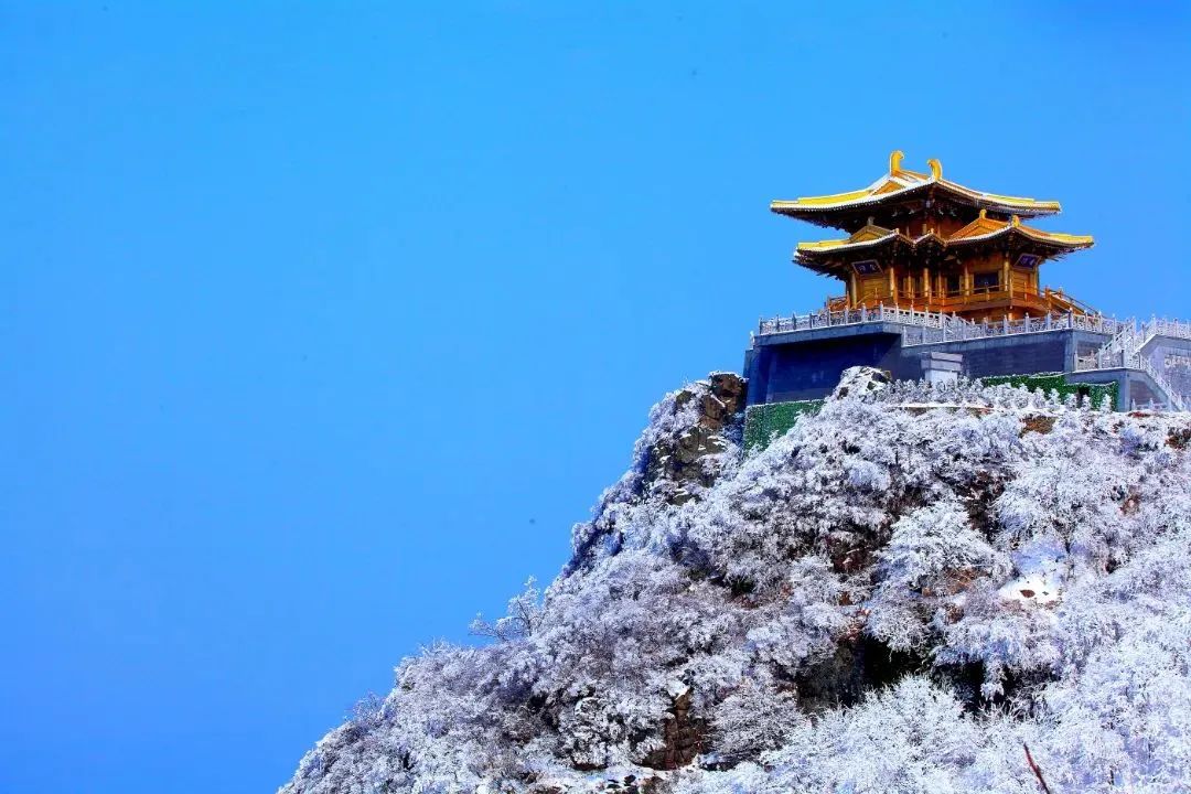 C7娱乐