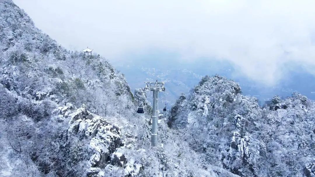 C7娱乐