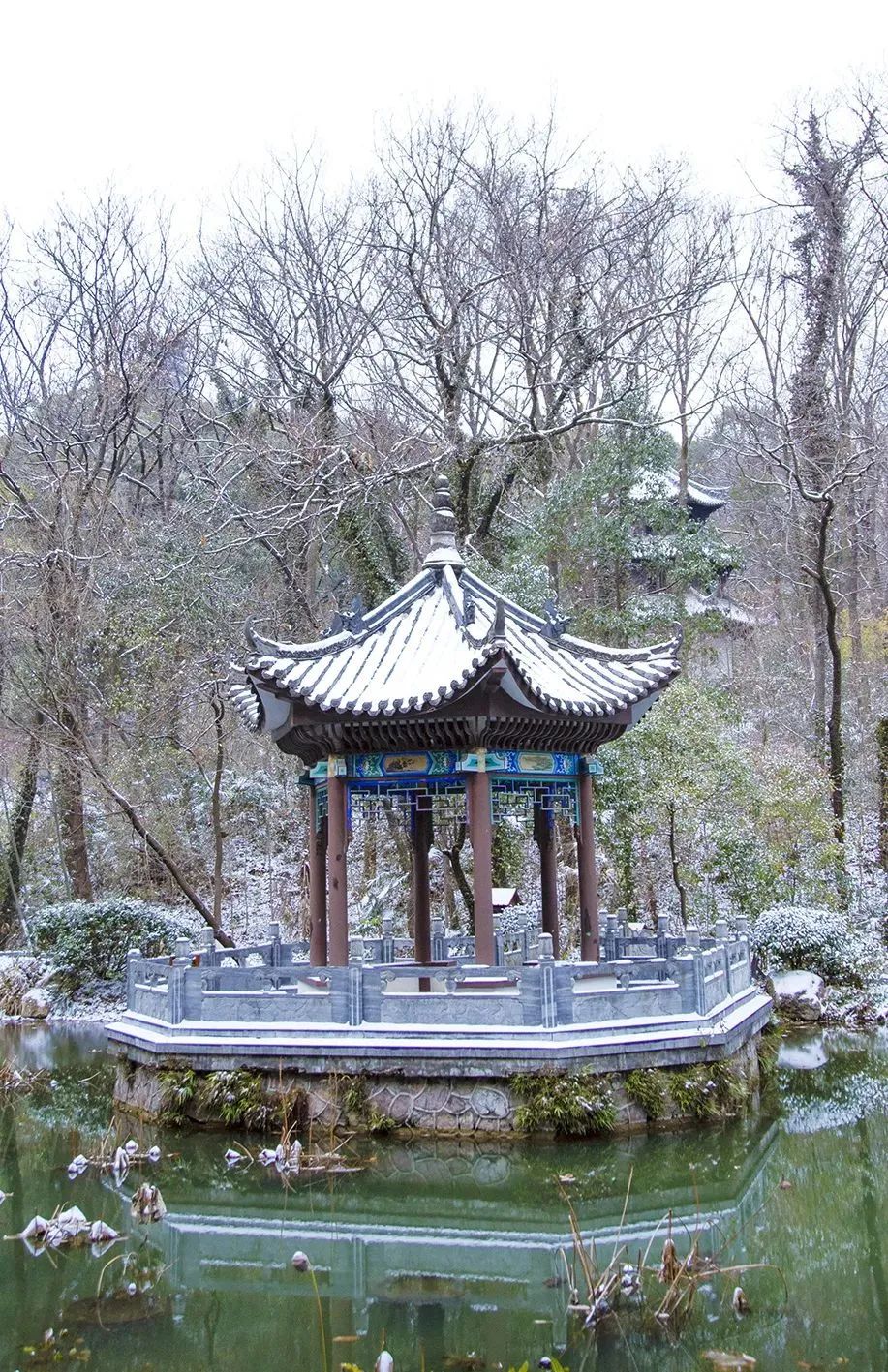 C7娱乐