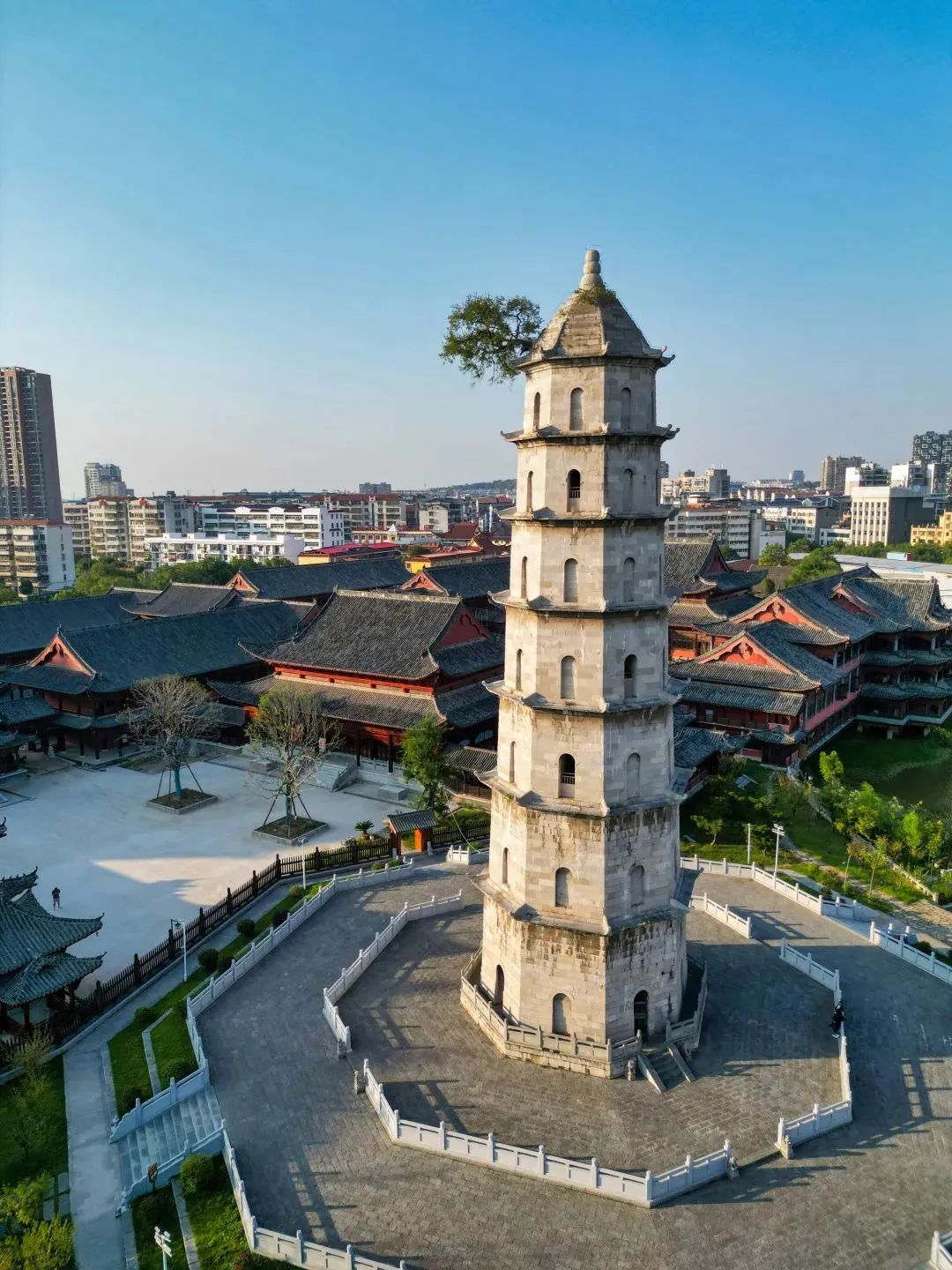 C7娱乐