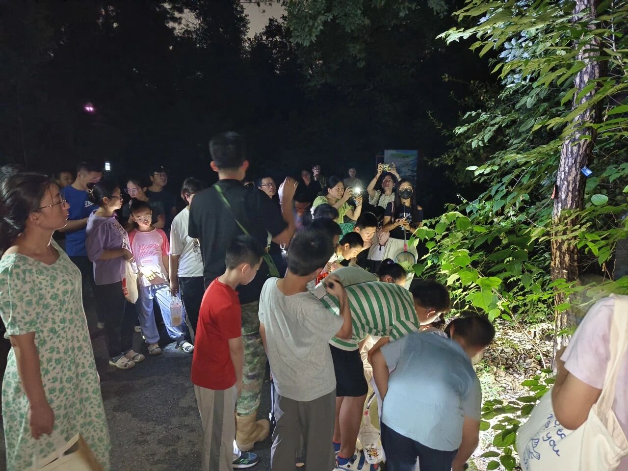 C7娱乐