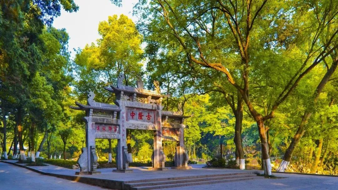 C7娱乐