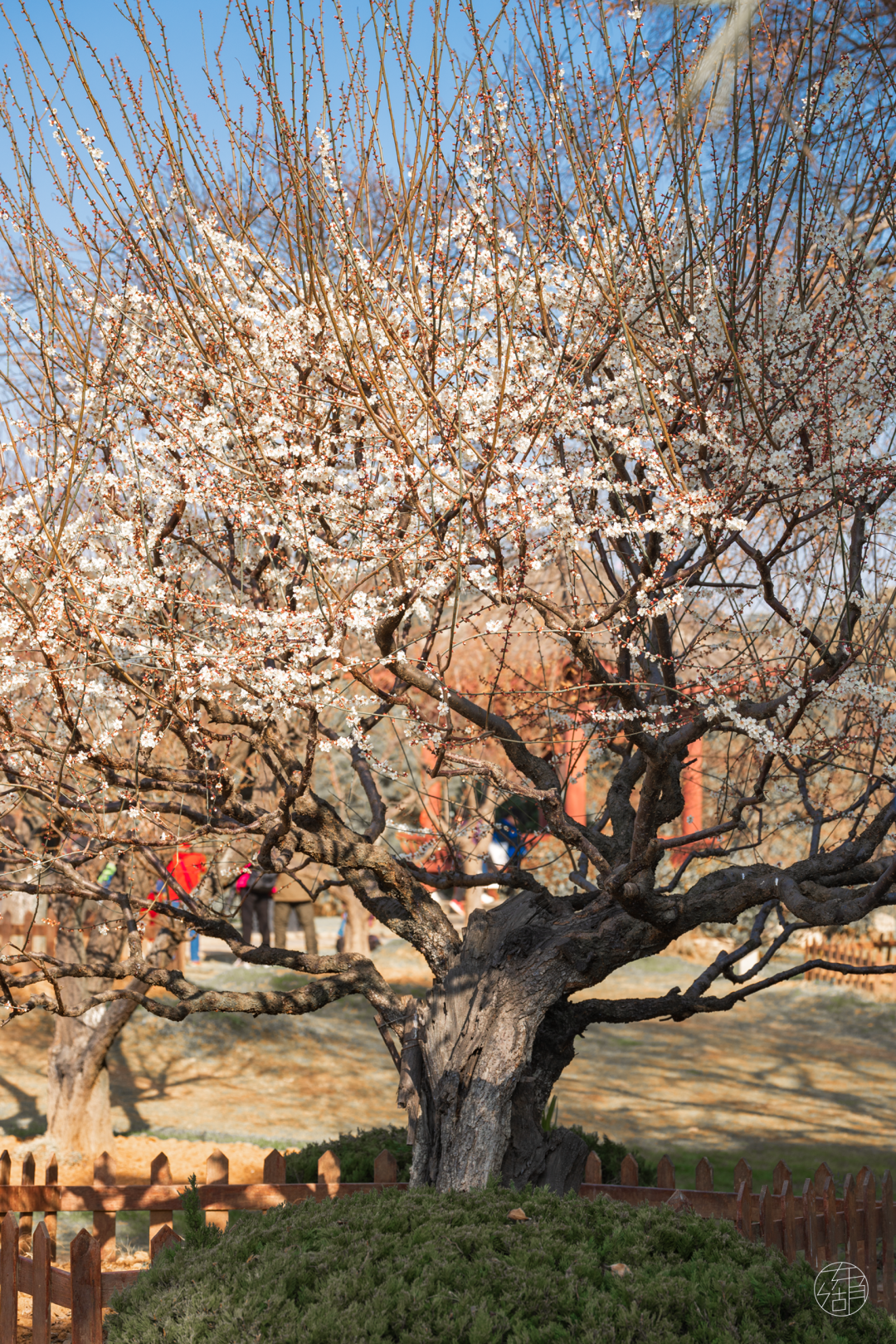 C7娱乐