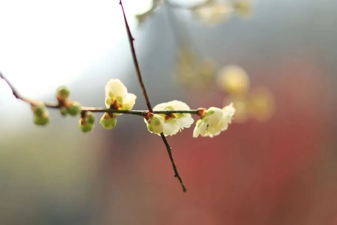 C7娱乐