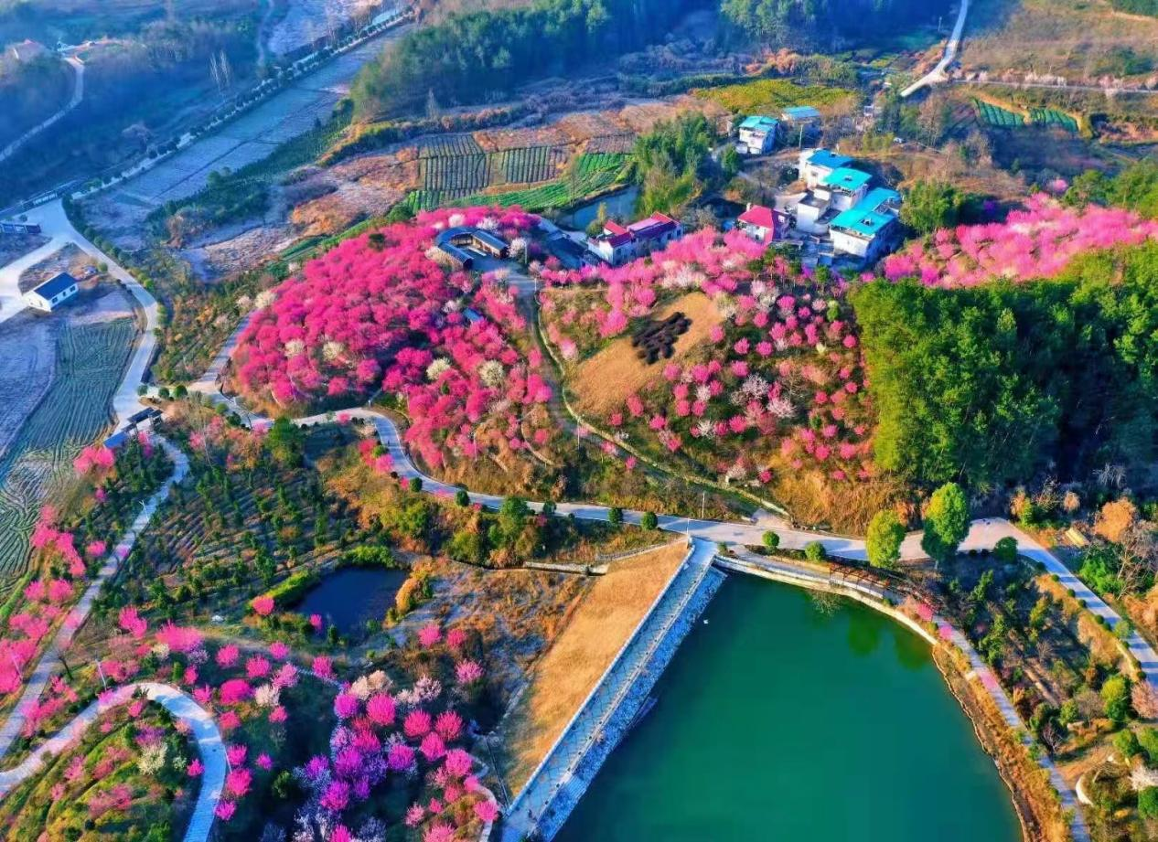 C7娱乐
