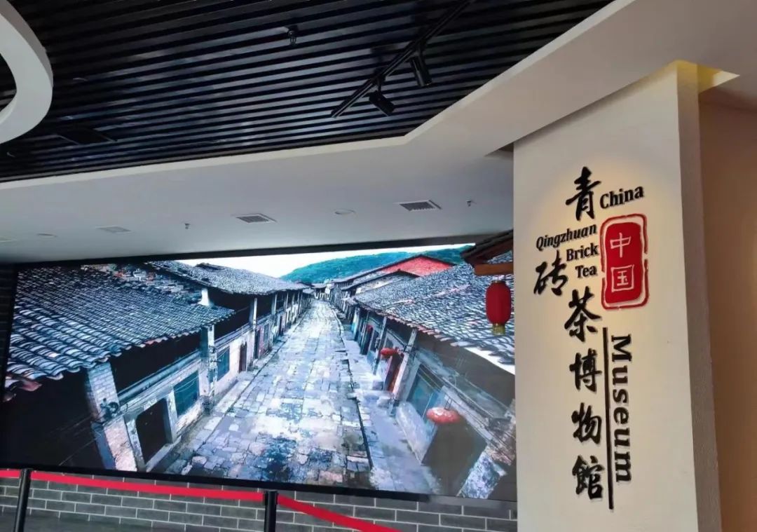 C7娱乐