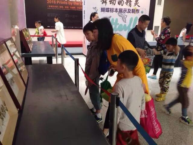 C7娱乐