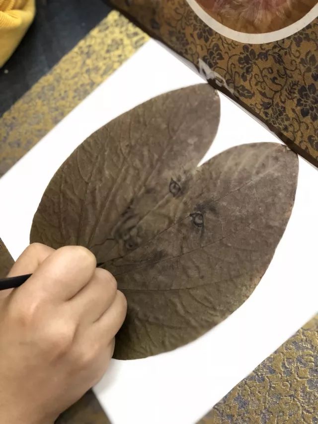 C7娱乐