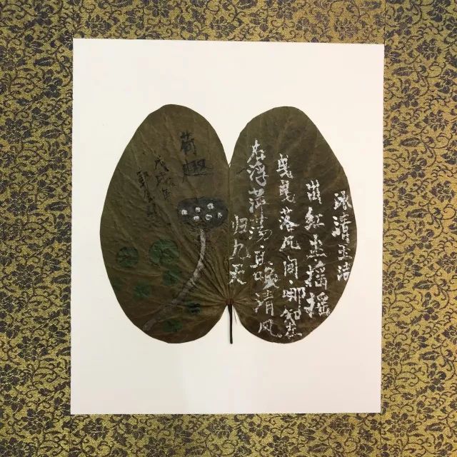 C7娱乐