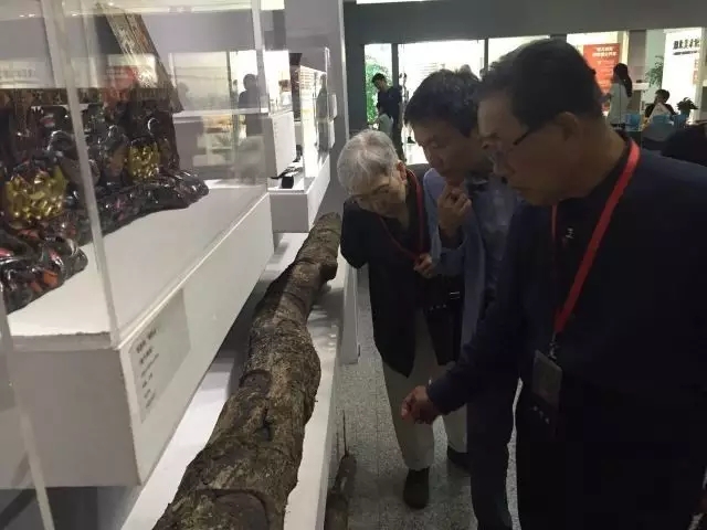 C7娱乐