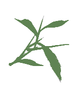 C7娱乐