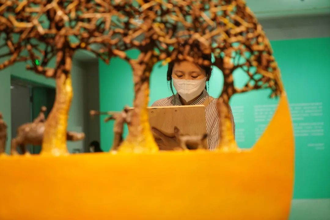 C7娱乐