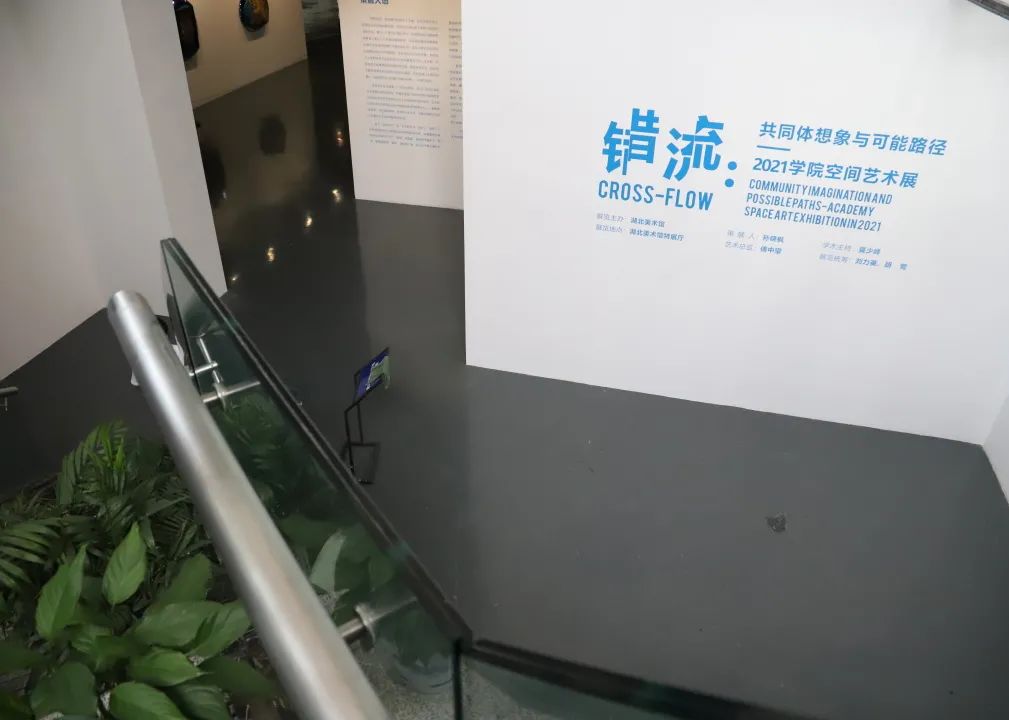 C7娱乐