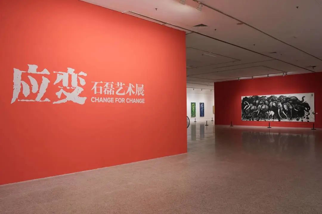 C7娱乐