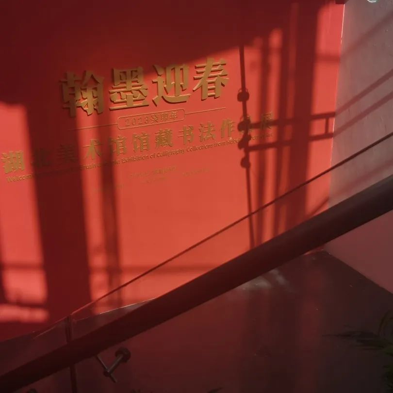 C7娱乐