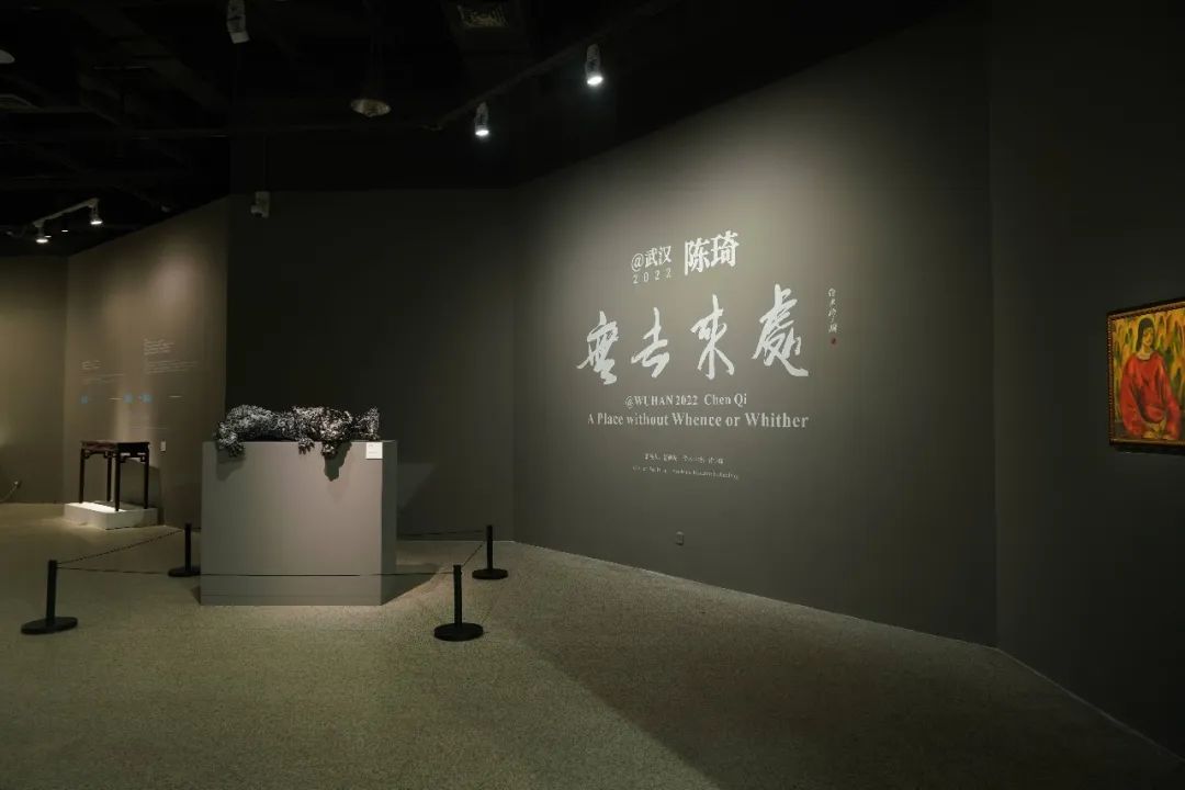 C7娱乐