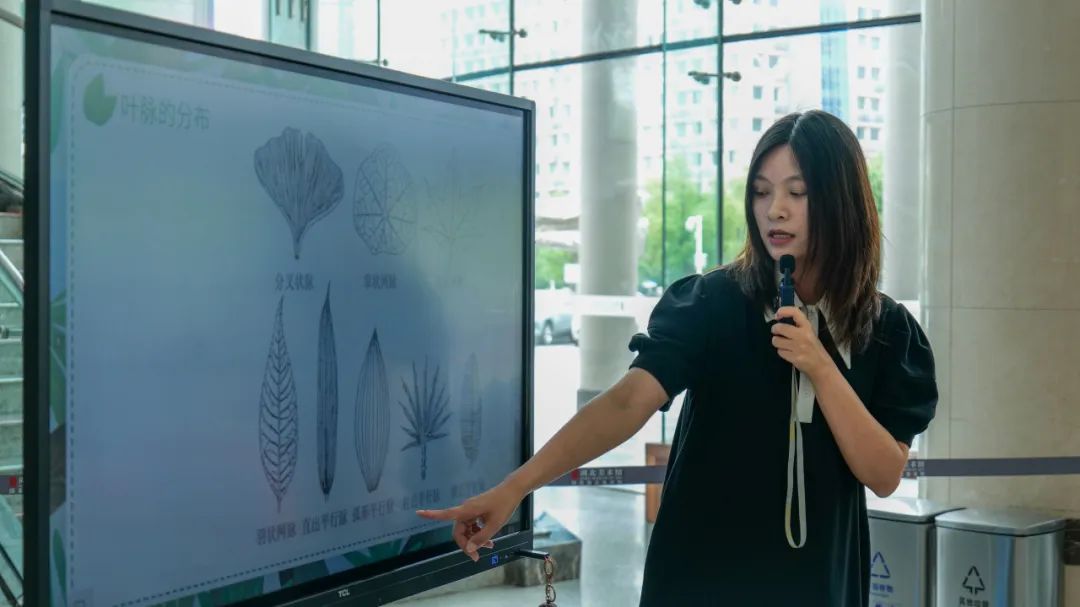 C7娱乐