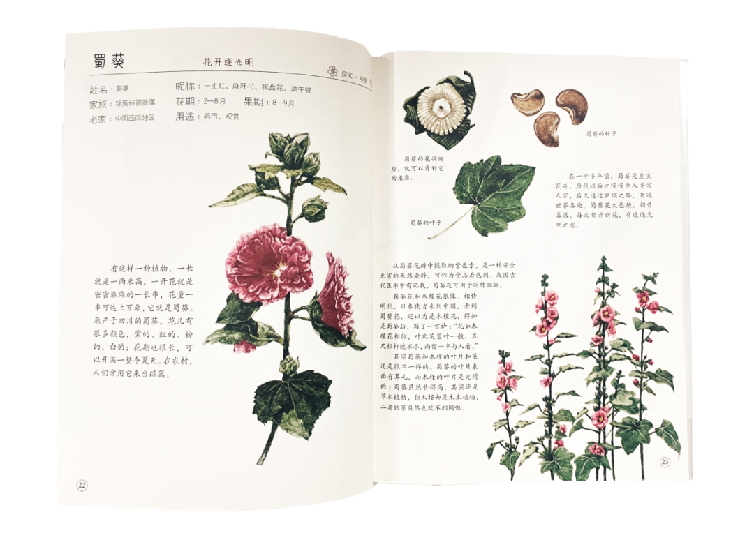 C7娱乐