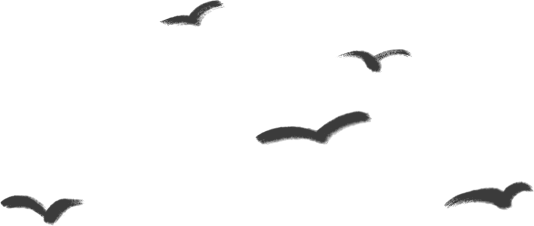 C7娱乐