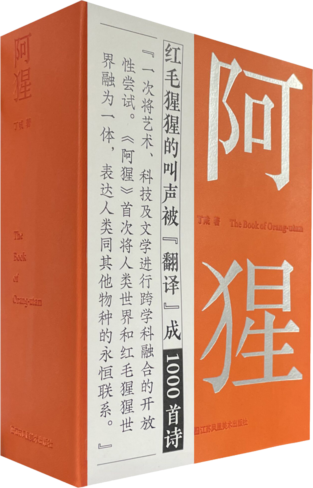 C7娱乐
