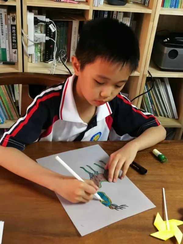 C7娱乐