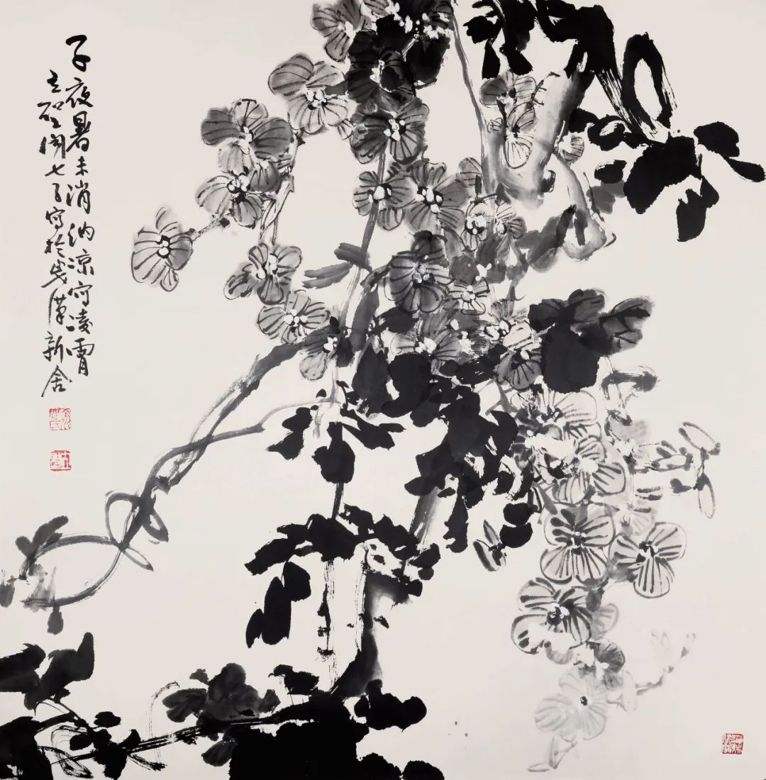 C7娱乐