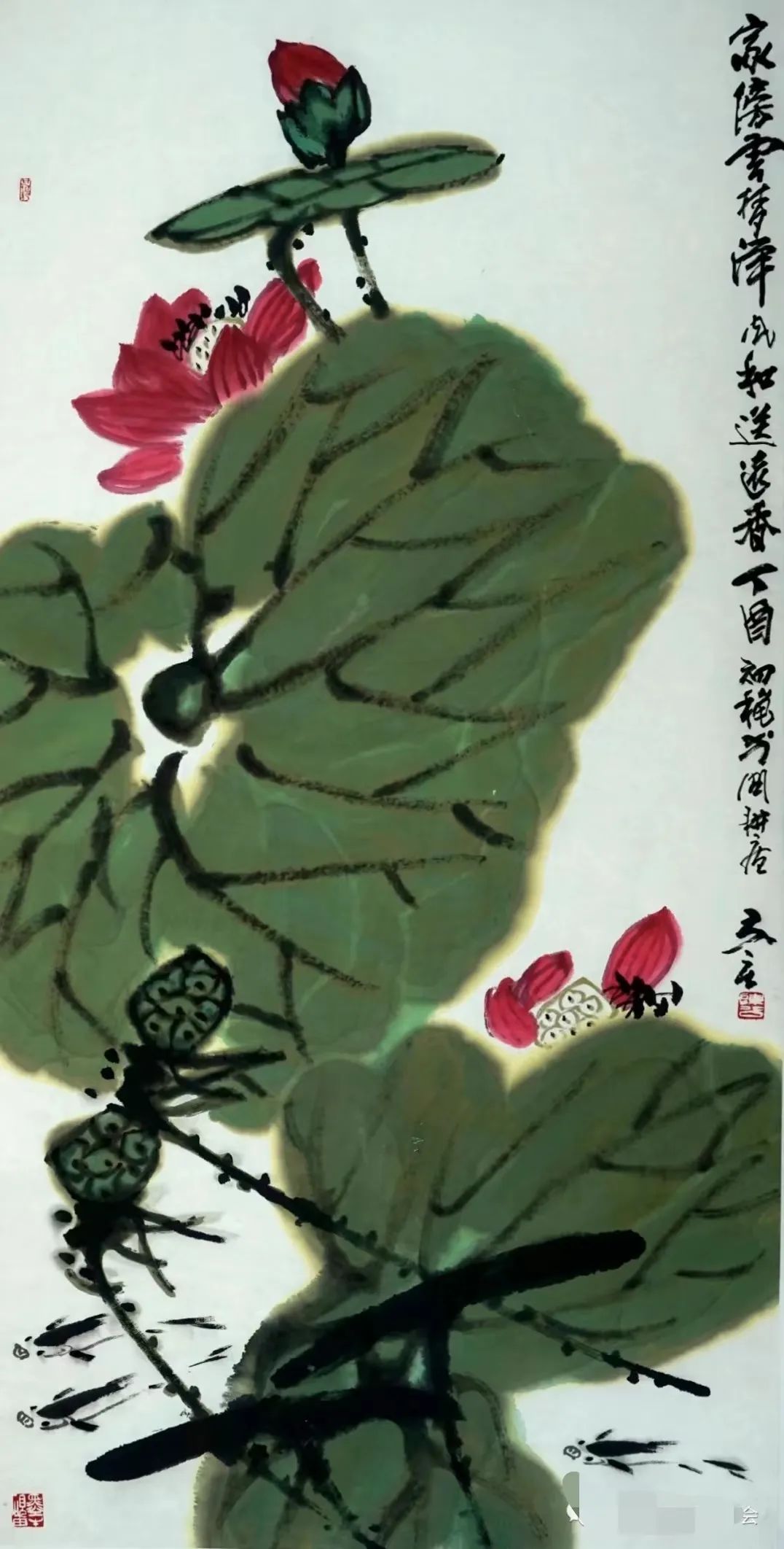 C7娱乐