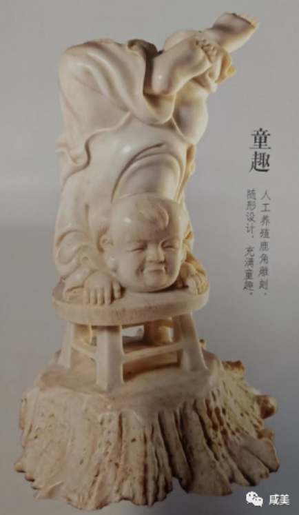 C7娱乐
