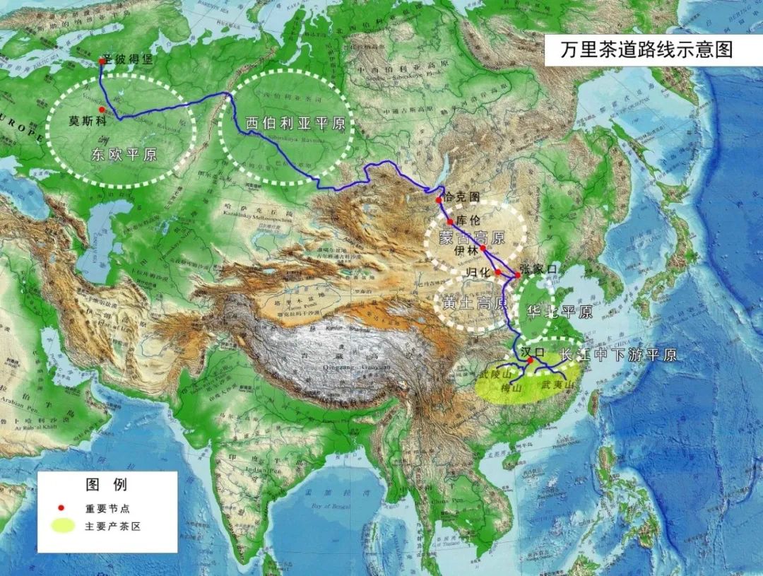 C7娱乐